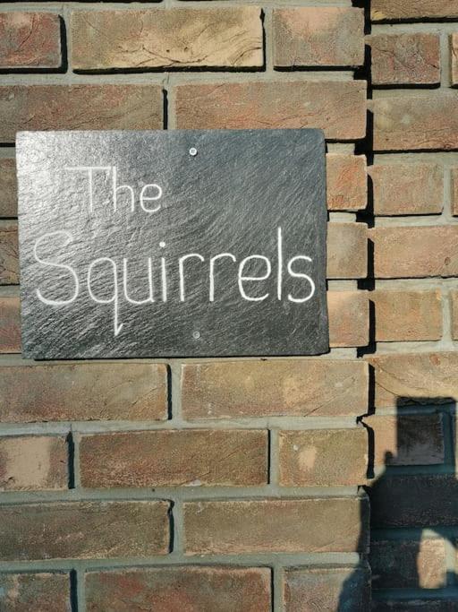 Apartmán The Squirrels- Alresford, Essex Exteriér fotografie